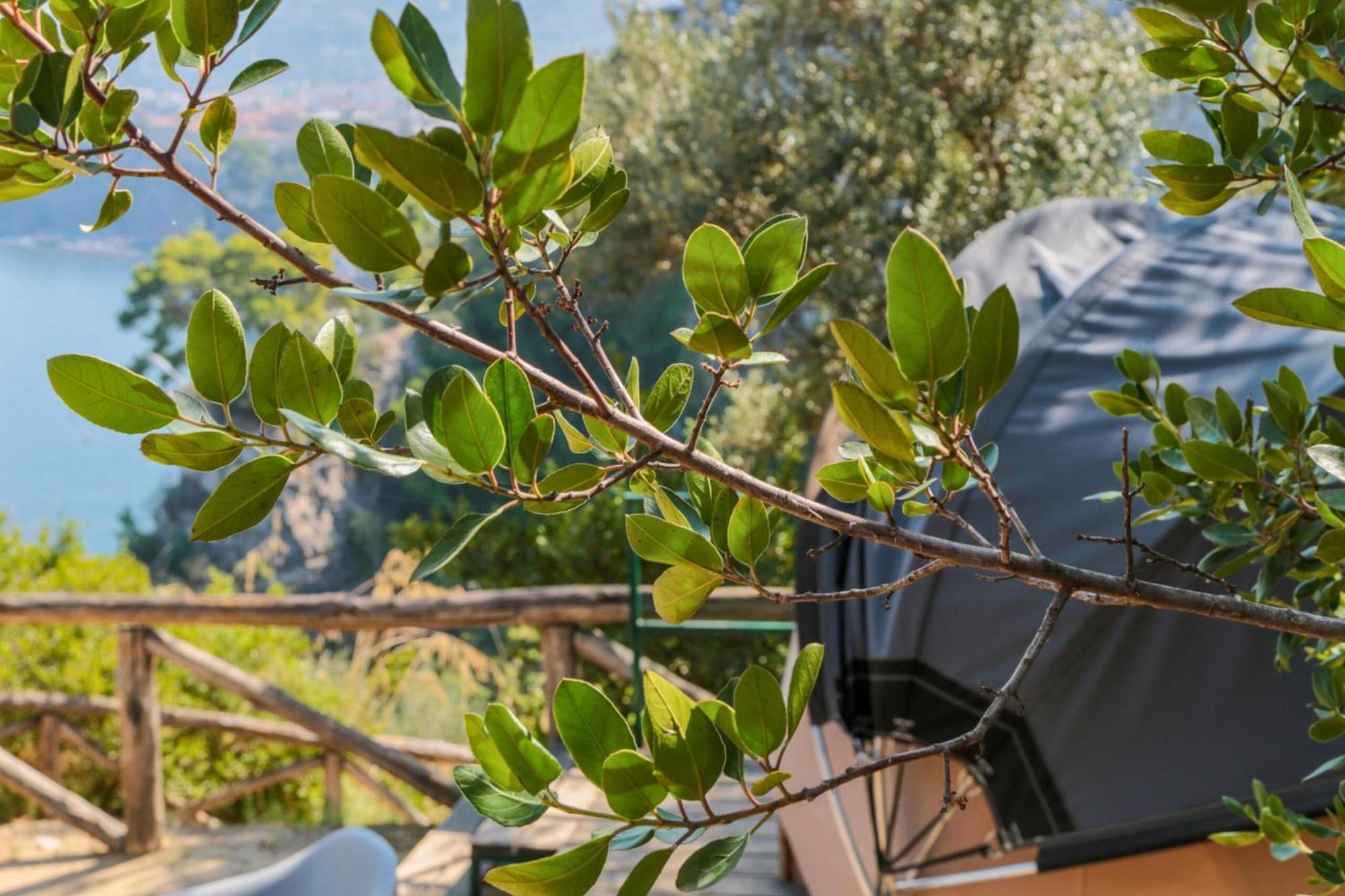 Hostel & Glamping Santa Fortunata Sorrento Exteriér fotografie